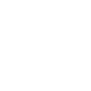 The Website Designs